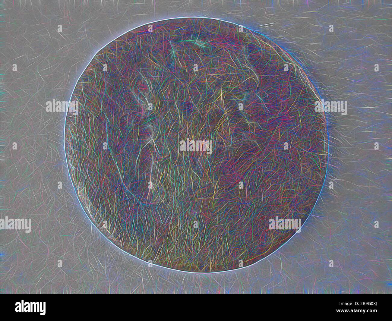 Dupondius, de 85 AD; l'empereur Domitian, 81-96, dupondius monnaie swap sol trouver bronze, miné pièce romaine dupondius frappé par l'empereur Domitian archéologie Nieuwe Waterweg Village Hook of Holland Rotterdam payer terre romaine Nouvelle voie navigable 1977 Banque D'Images