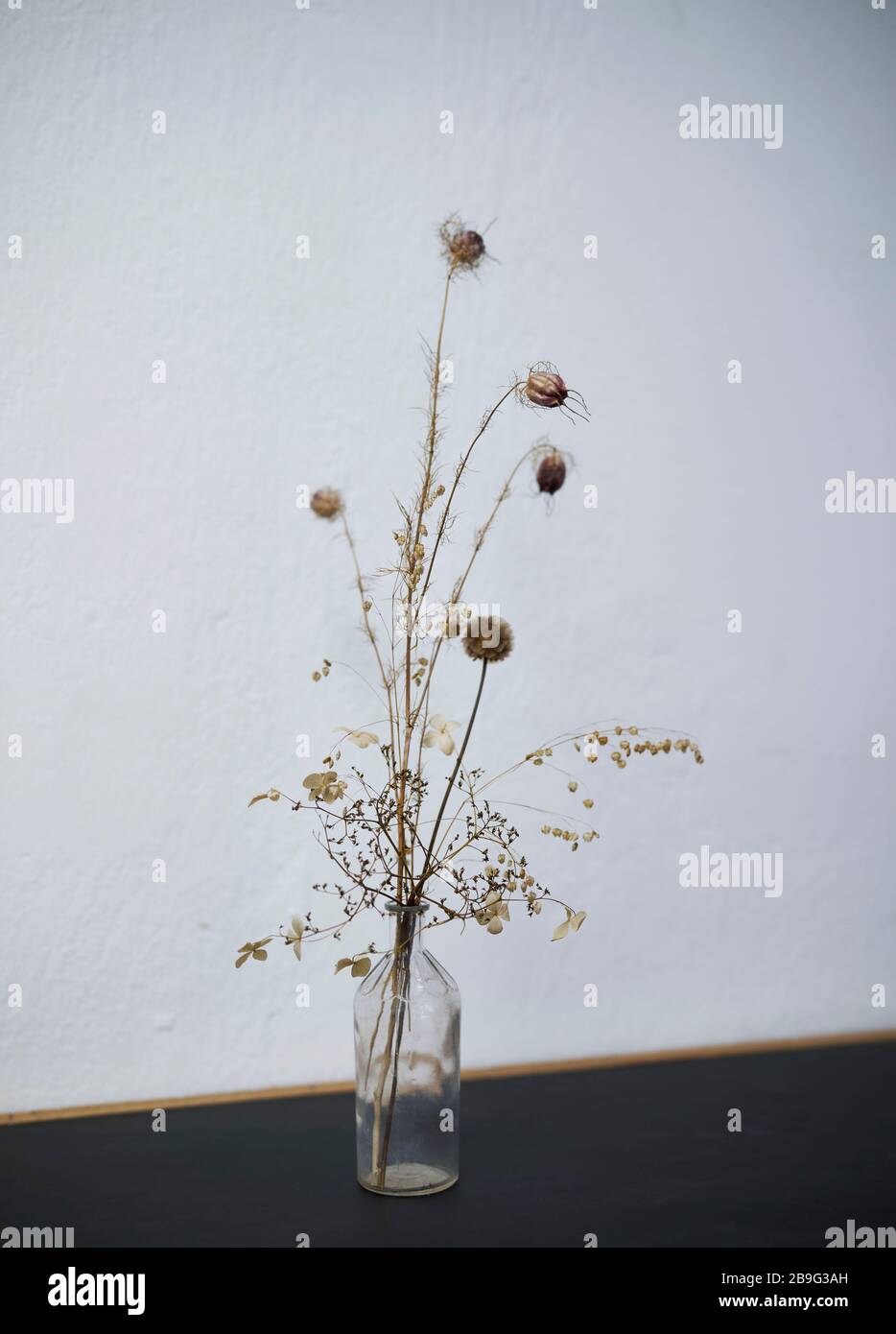 Tiges de plantes spiky dans vase en verre Banque D'Images