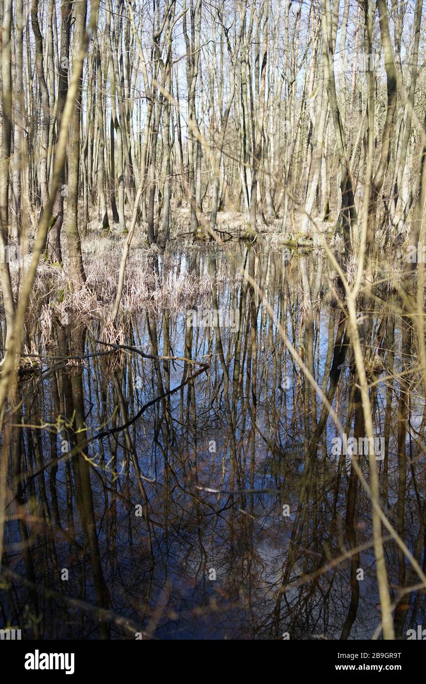 Paysage de Moor en hiver avec réflexion de l'eau Banque D'Images
