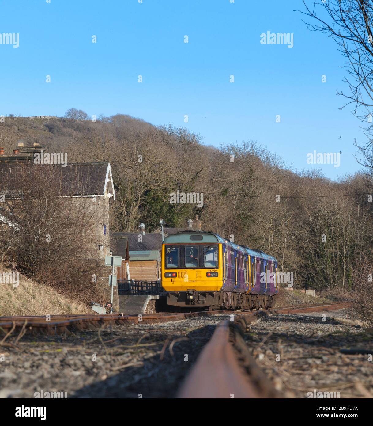 Ancien train Northern Rail classe 142 pacer trains 142060 + 142028 à Redmire, chemin de fer Wensleydale le premier jour de leur course en préservation Banque D'Images