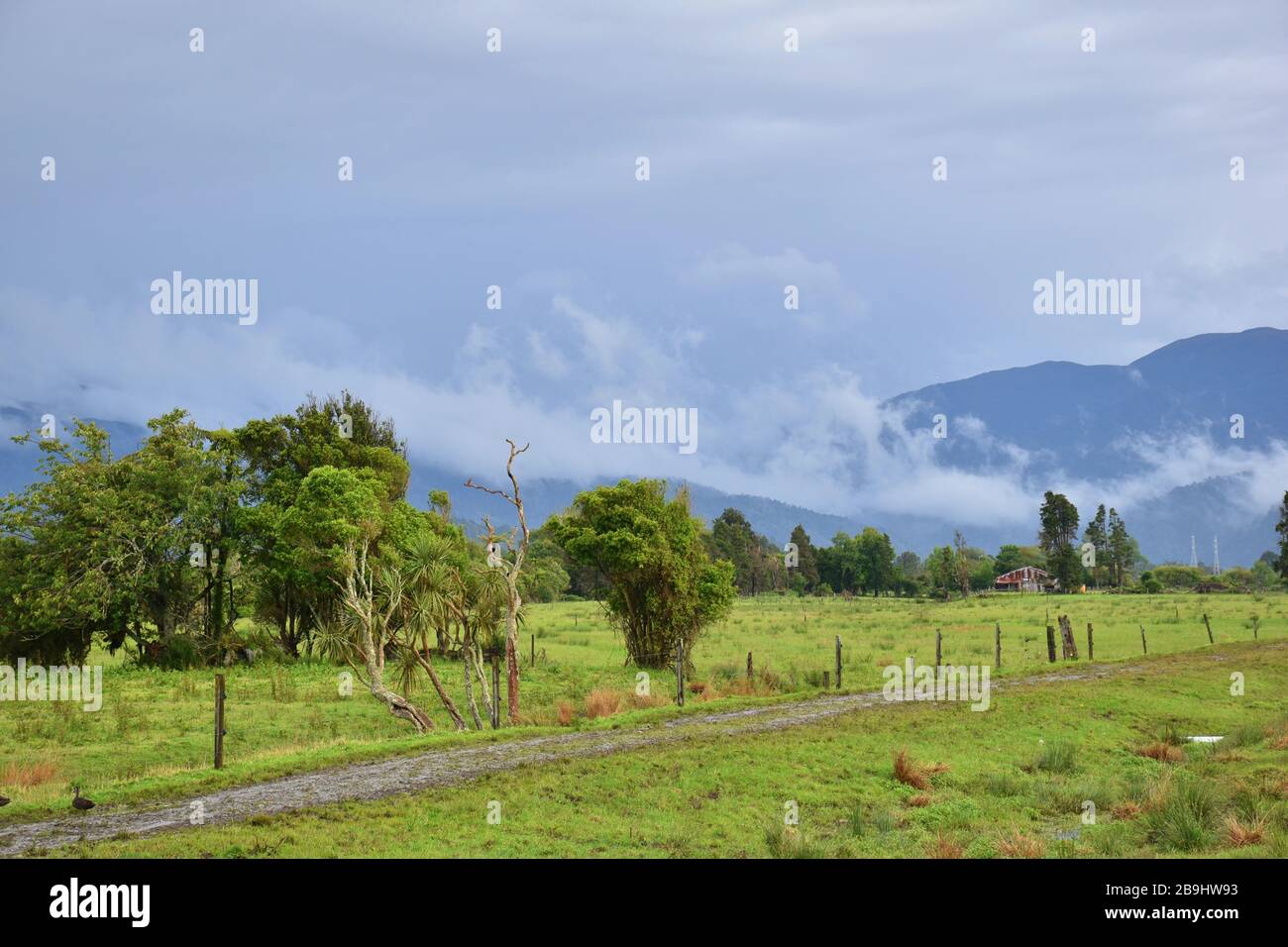 Nuages bas suspendus dans les montagnes de la côte ouest de la Nouvelle-Zélande Banque D'Images