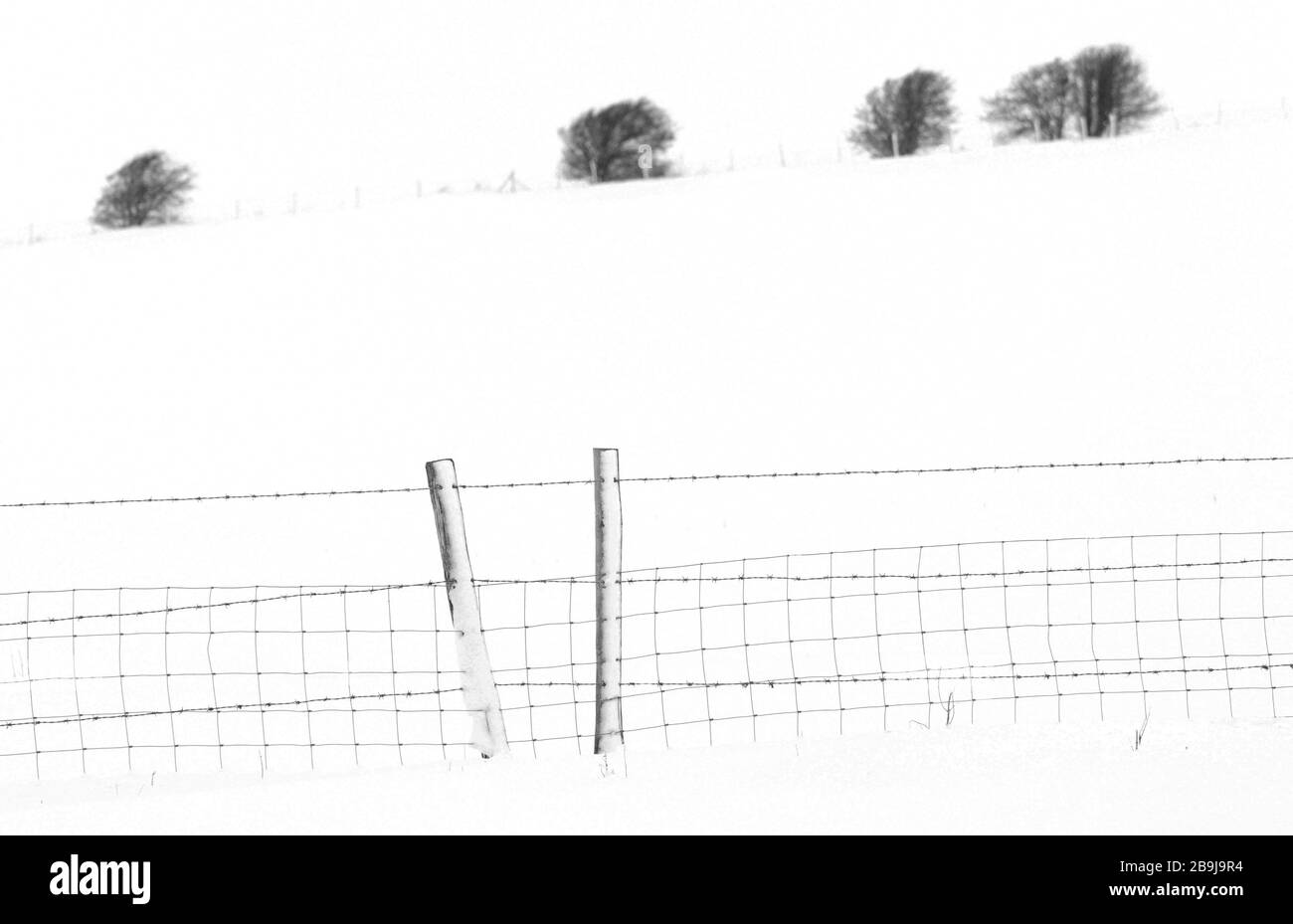 Belle scène de neige sombre d'hiver de clôture noire, buissons et arbres sur le bord des champs de fermiers couverts de neige faisant un design minimaliste Banque D'Images