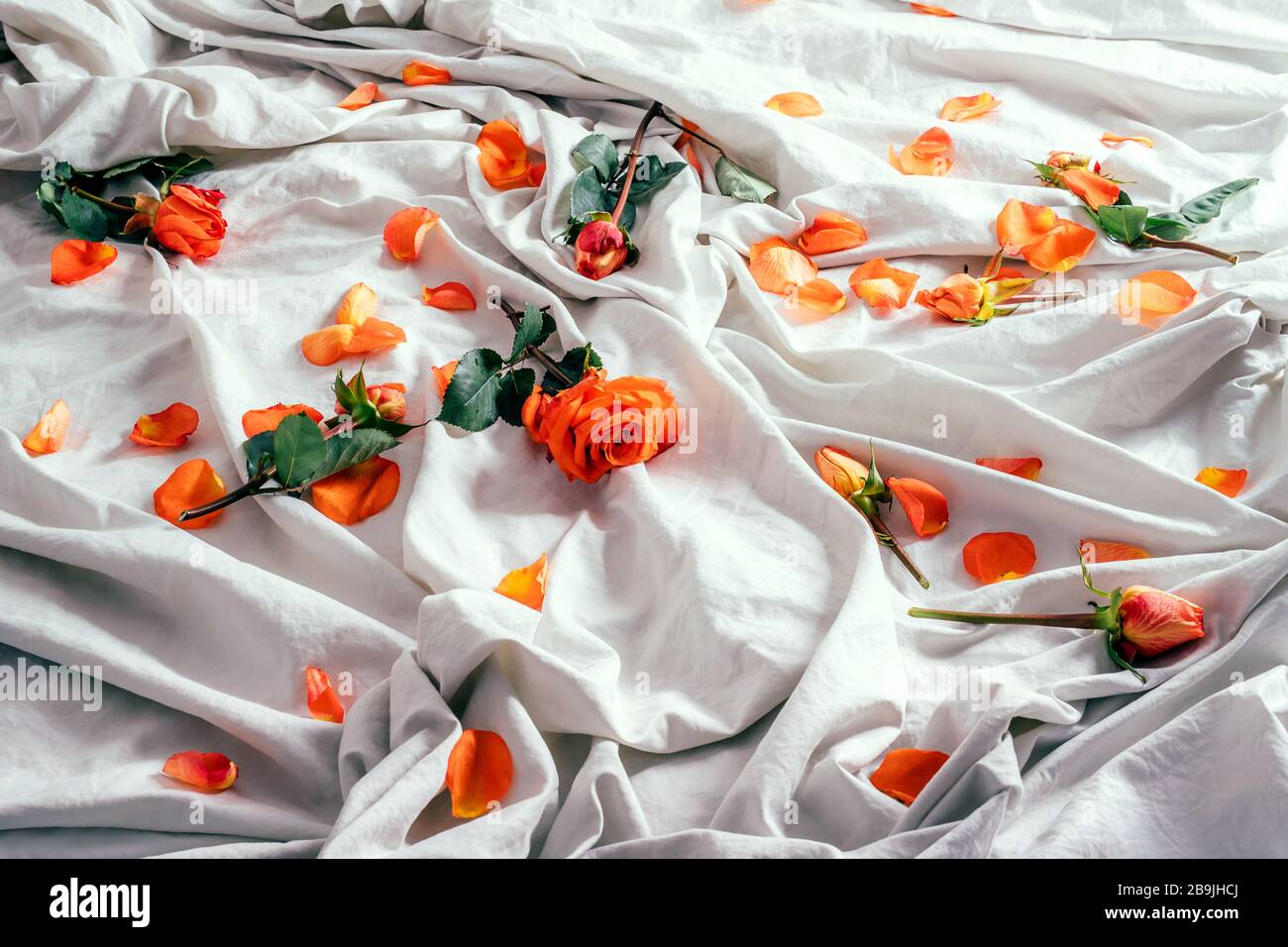 Literie blanche et douce avec roses et pétales rouges oranges. Banque D'Images