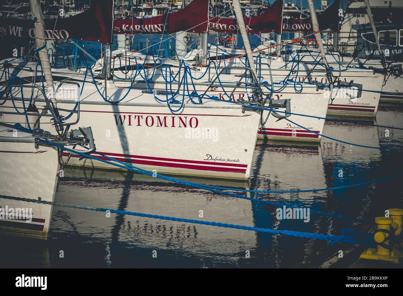 Yachts amarré à yacht Haven Marina Gdynia sur la baie de Gdansk en mer Baltique, Gdynia Pologne Banque D'Images