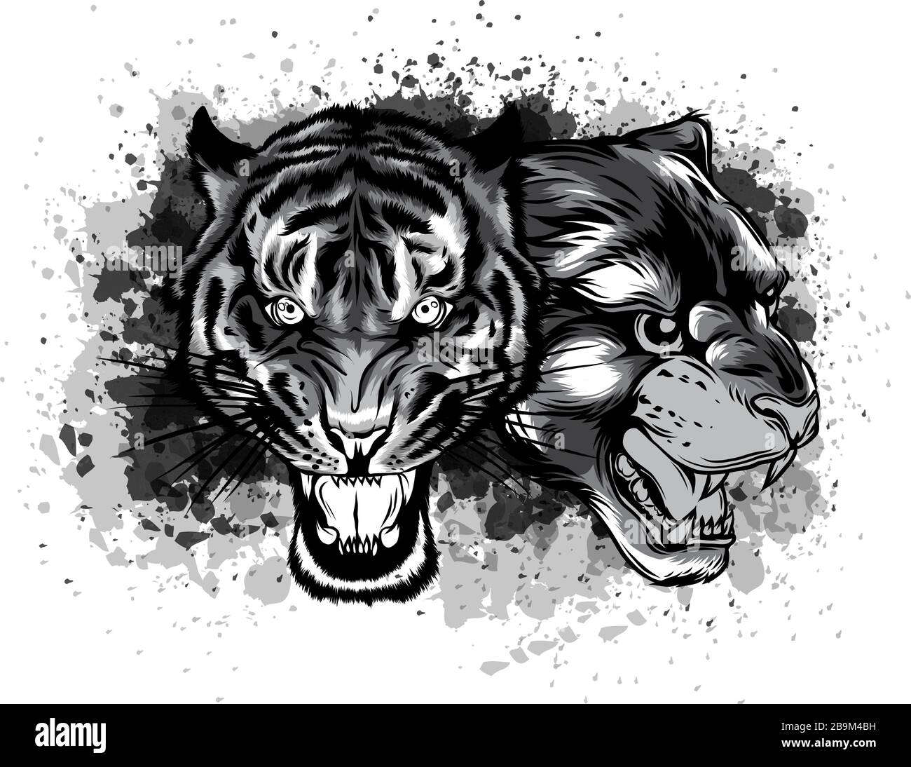 Faces combinées monochromatiques du lion et du tigre. Illustration vectorielle Illustration de Vecteur