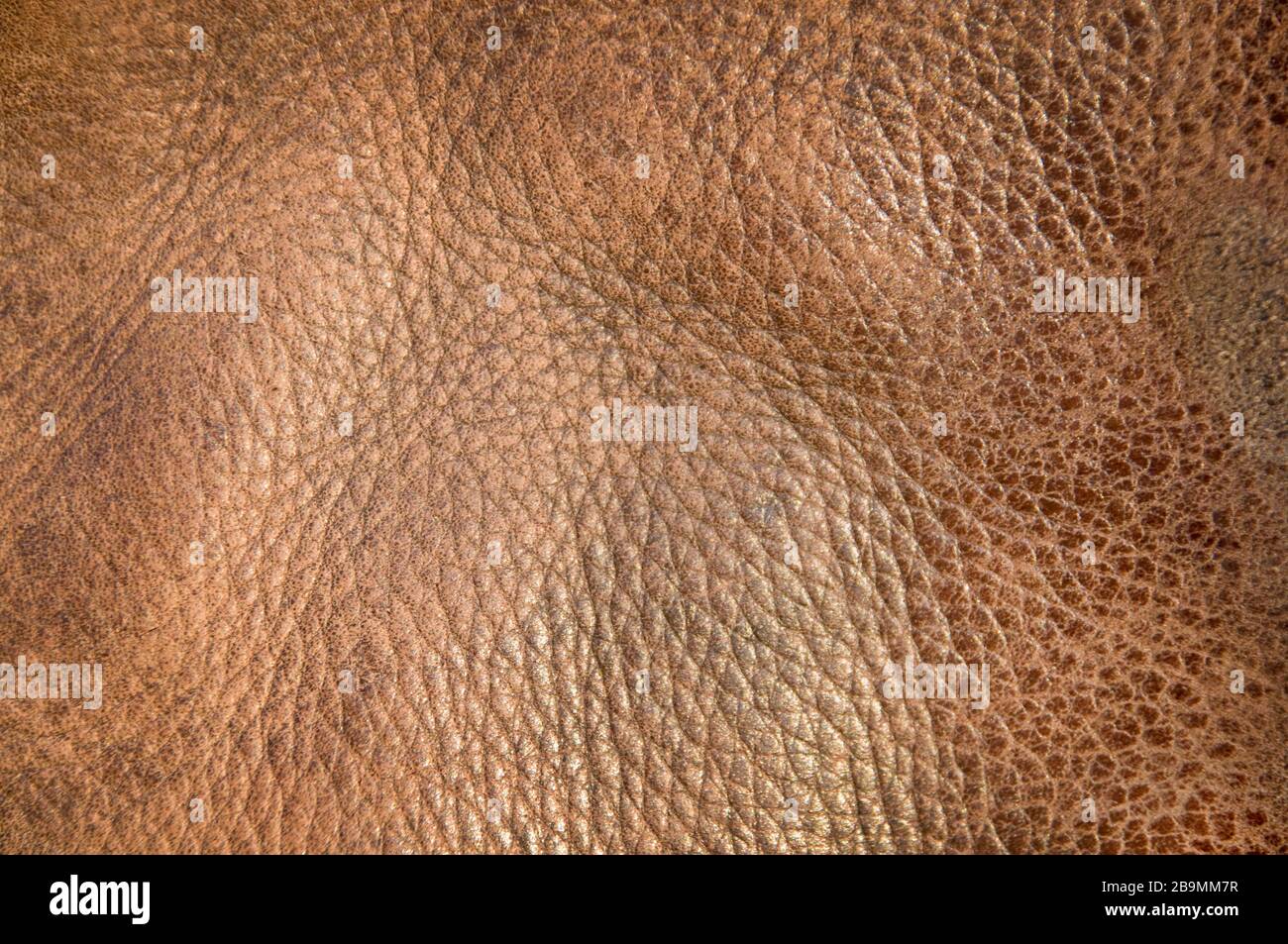 Texture de surface en cuir marron tissée Banque D'Images
