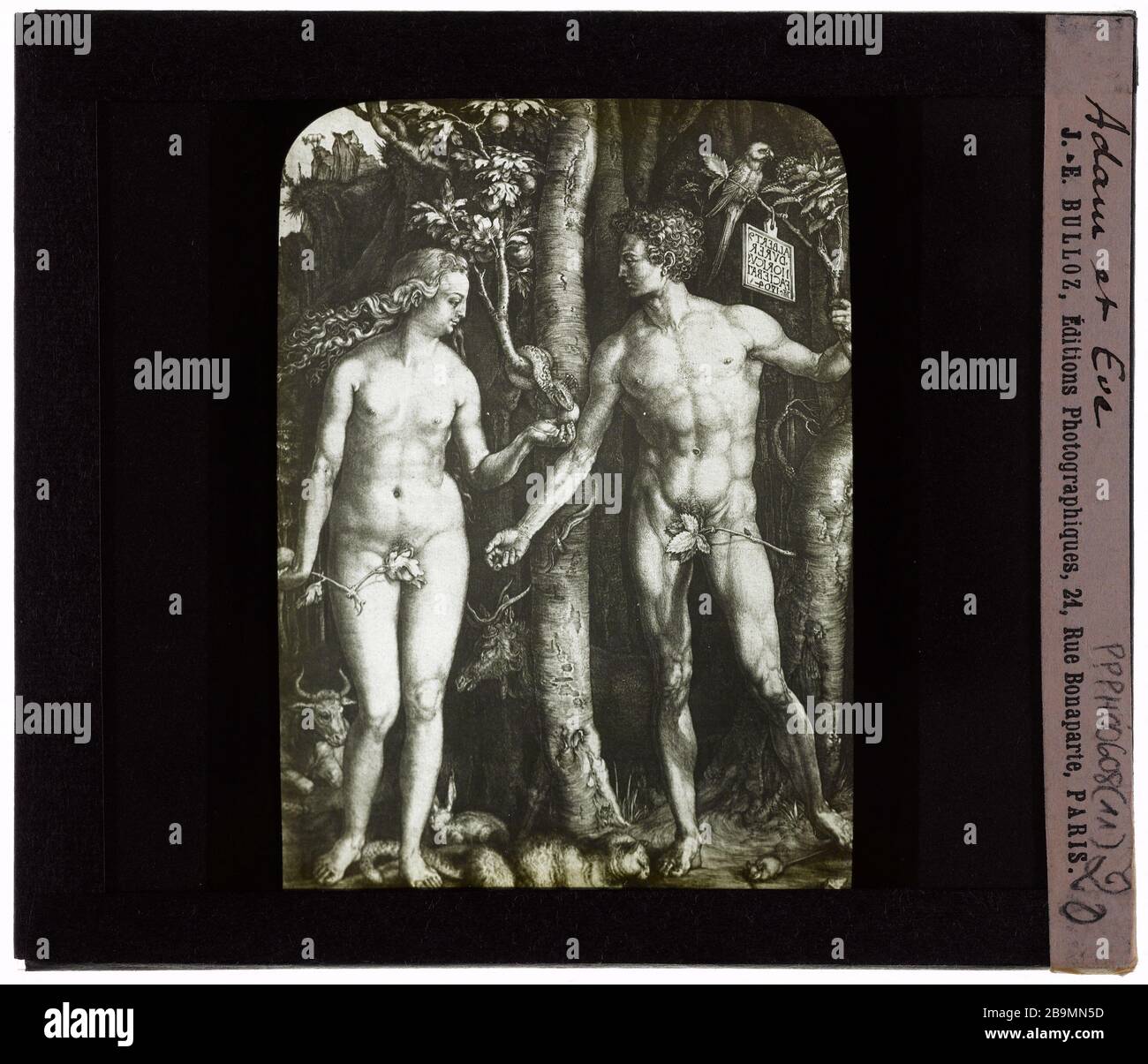 Callot. Adam et Eve Jacques Callot (1592-1635). 'Adam et Eve'. Plaque de projection noir et blanc. 1900-1930. Photographie de Jacques-Ernest Bulloz (1858-1942). Musée des Beaux-Arts de la Ville de Paris, petit Palais. Banque D'Images