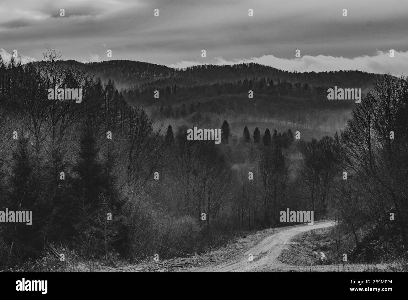 Dwernik dans les montagnes de Bieszczady en Pologne Banque D'Images