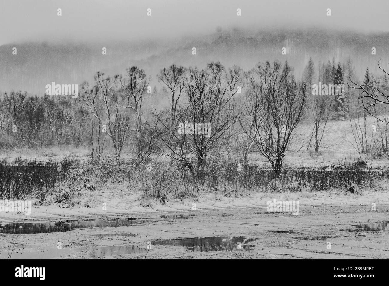 Wetlina dans les montagnes de Bieszczady en Pologne Banque D'Images