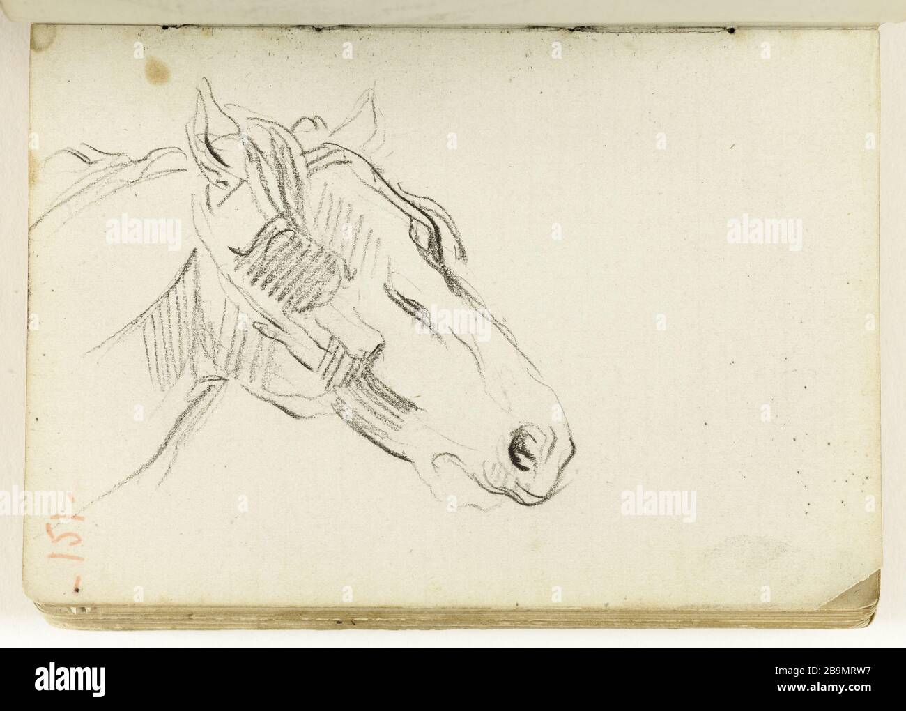 Etude de tête de cheval. Jean-Baptiste Carpeaux (1827-1875). Etude de tête de cheval. Dessin, vers 1872. Musée des Beaux-Arts de la Ville de Paris, petit Palais. Banque D'Images