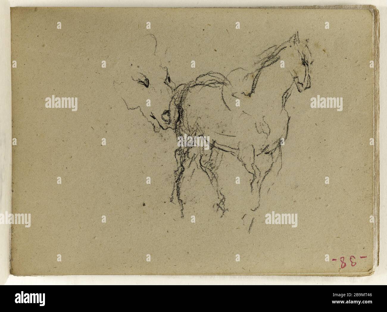 Étudiez les chevaux et la tête de cheval (p. 38 de l'extrusion d'esquisse). Jean-Baptiste Carpeaux (1827-1875). Etude de cheval et de tête de cheval (p. 38 du carnet de croquis). Dessin, 1871. Musée des Beaux-Arts de la Ville de Paris, petit Palais. Banque D'Images