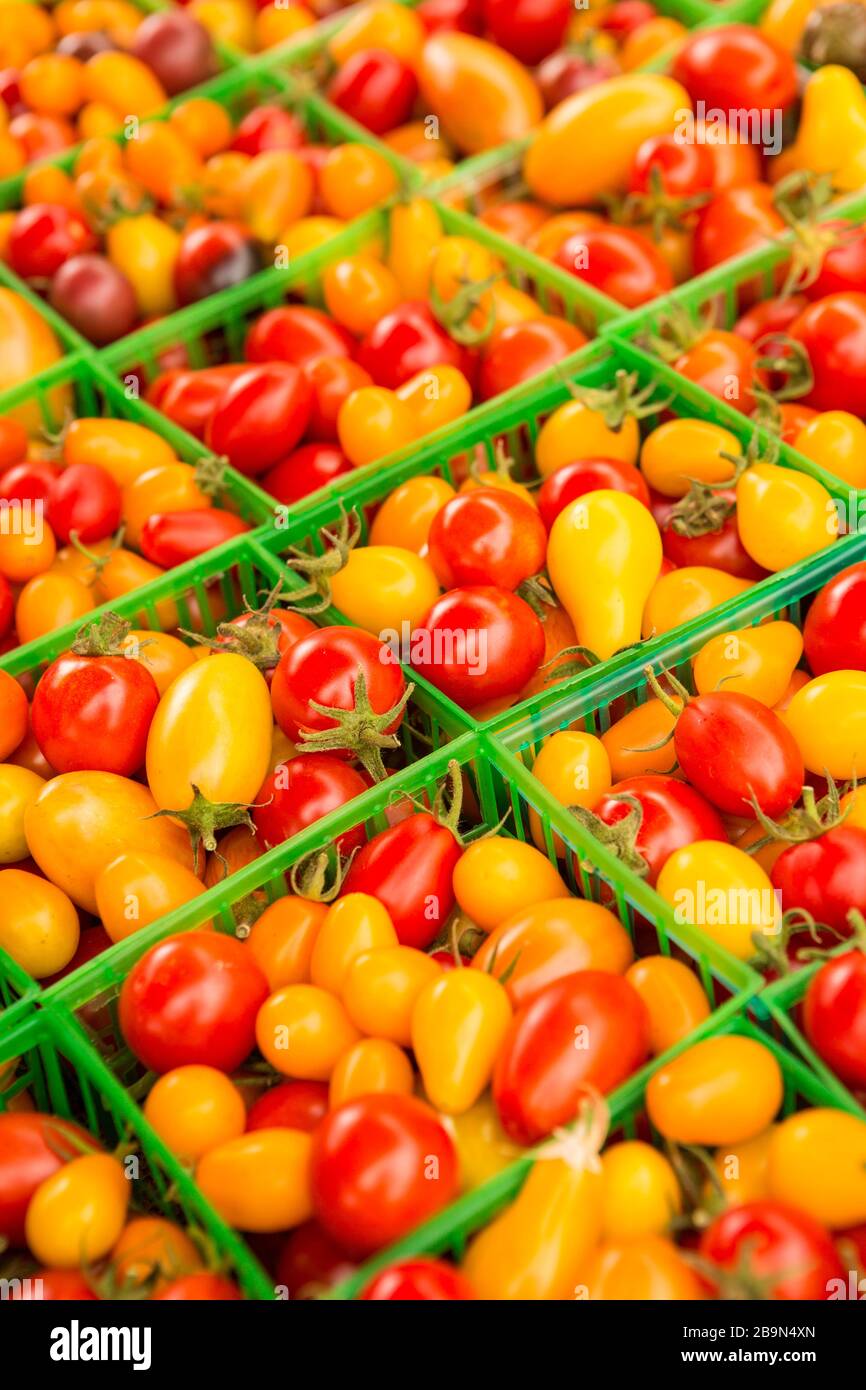 Tomates cerises, marché agricole de Santa Barbara, Santa Barbara, Californie Banque D'Images