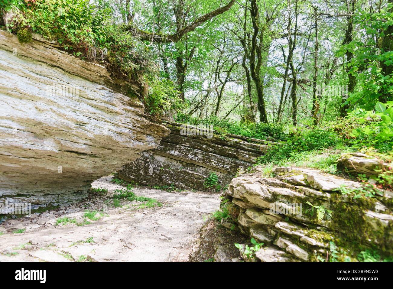 Les tours d'un labyrinthe de pierre causé par un défaut tectonique dans une yew-Box grove dans le district de Khostinsky de Sotchi. Russie, région de Krasnodar Banque D'Images