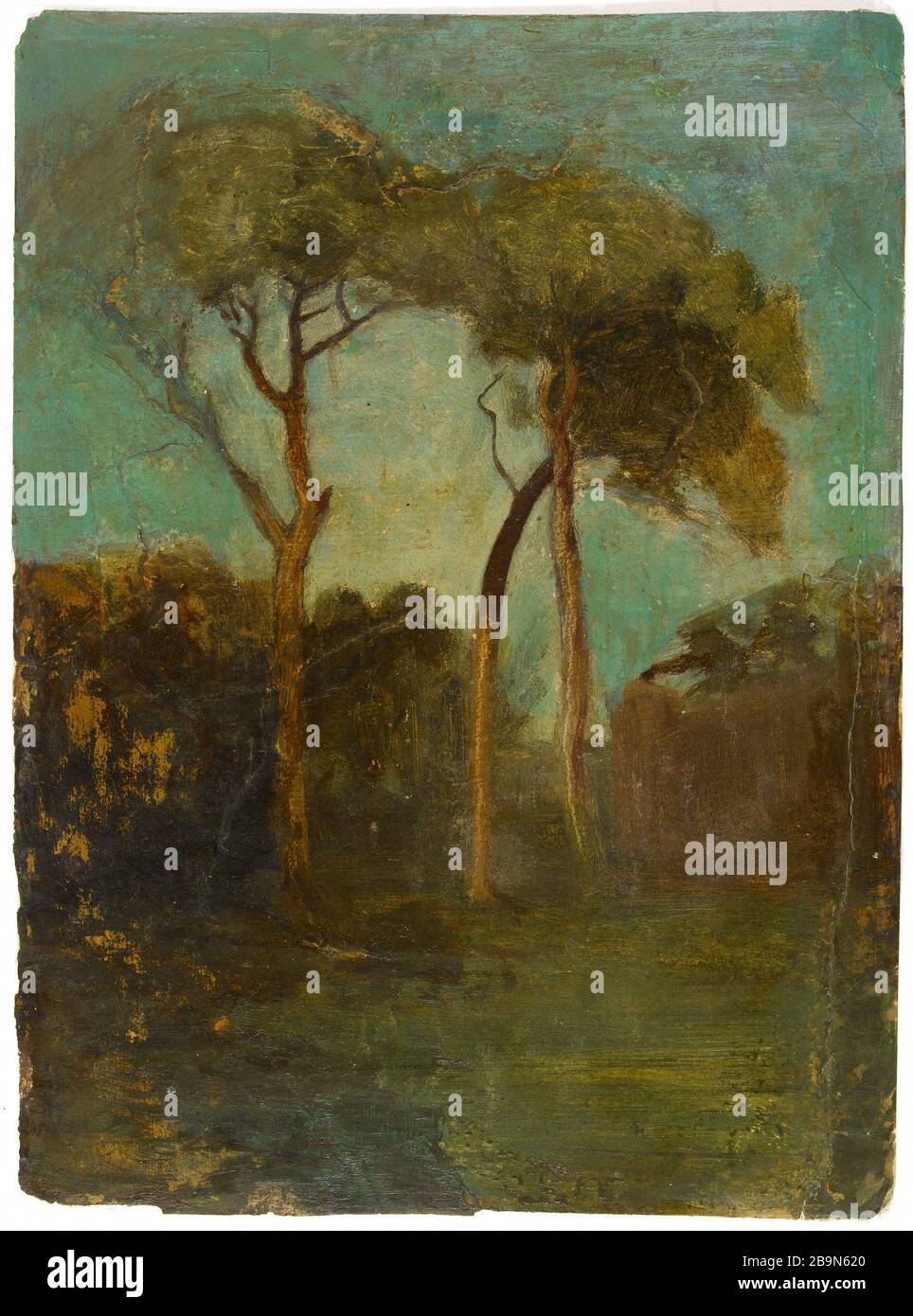 Pins parasols en Italie Jean-Baptiste Carpeaux (1827-1875). 'PIN parasols en Italie'. Toile sur papier colé sur carton. 1850-1870. Musée des Beaux-Arts de la Ville de Paris, petit Palais. Banque D'Images