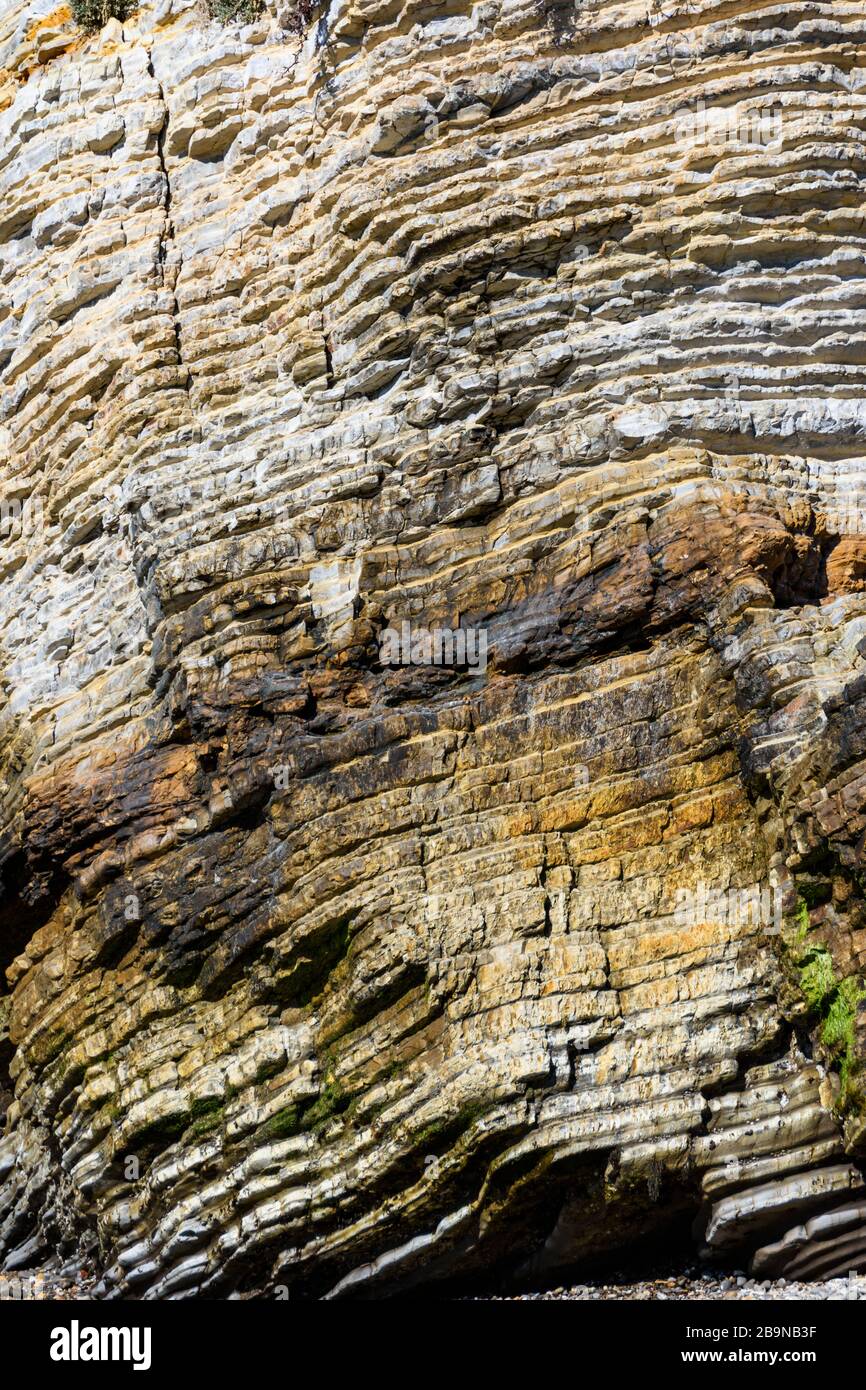 Un gros plan de la roche volcanique qui forme Morro Rock, un bouchon volcanique sur la côte du Pacifique de Californie Banque D'Images