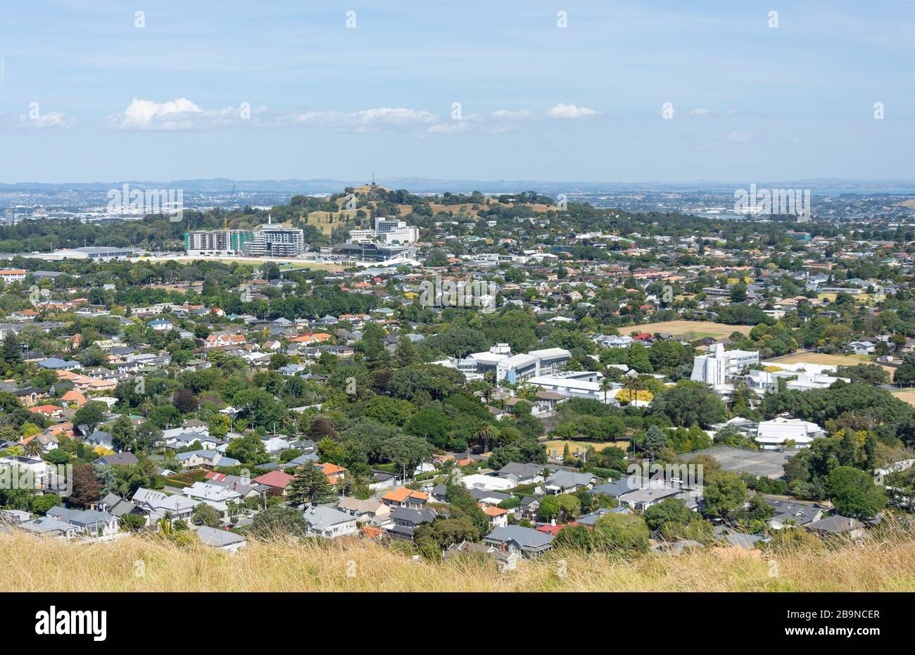 Vue sur la colline d'un arbre et la banlieue d'Epsom depuis le sommet du mont Eden (Maungawlau), le mont Eden, Auckland, Nouvelle-Zélande Banque D'Images