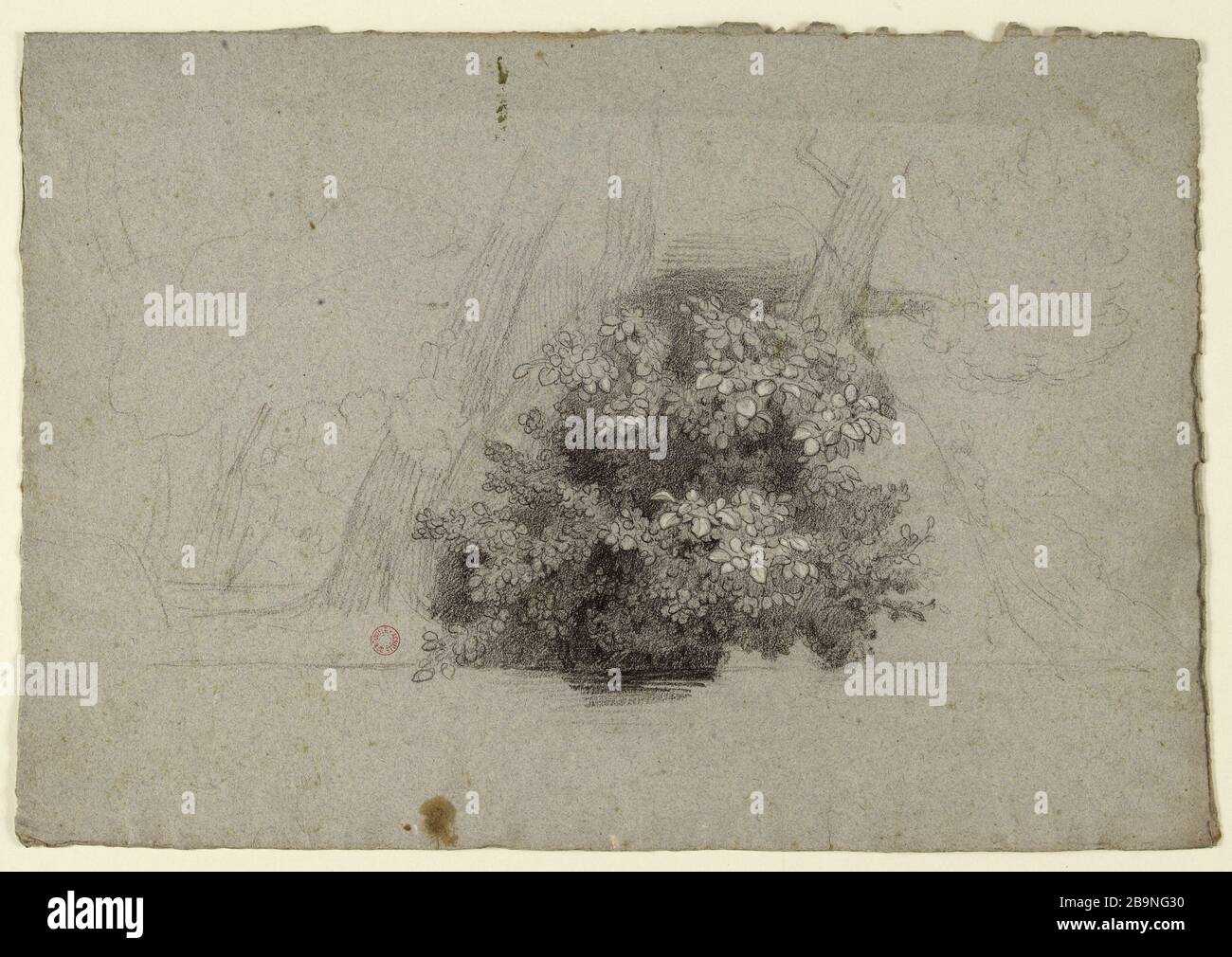 Feuillage Jean-Achille Benouville (dit Achille Benouville) (1815-1891). Feuillage. Fusain et rehauts de craie blanche sur papier gris-bleu. Musée des Beaux-Arts de la Ville de Paris, petit Palais. Banque D'Images