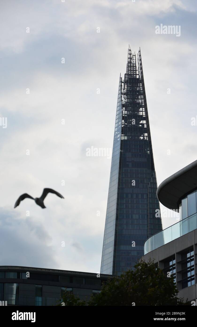 Le gratte-ciel « dur », un jour nuageux, avec le mouettes volantes au premier plan hors de la mise au point Banque D'Images