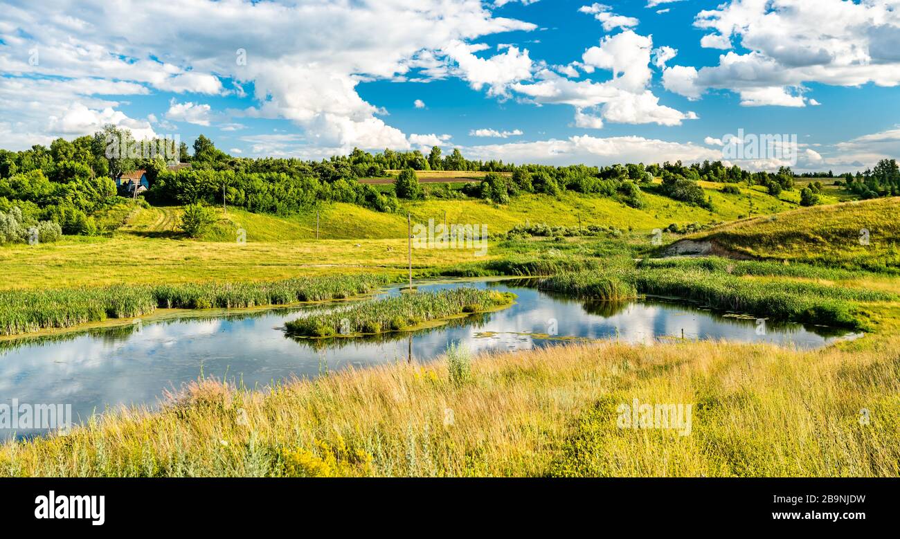 Lac de Bolshoe Gorodkovo - région de Kursk, Russie Banque D'Images