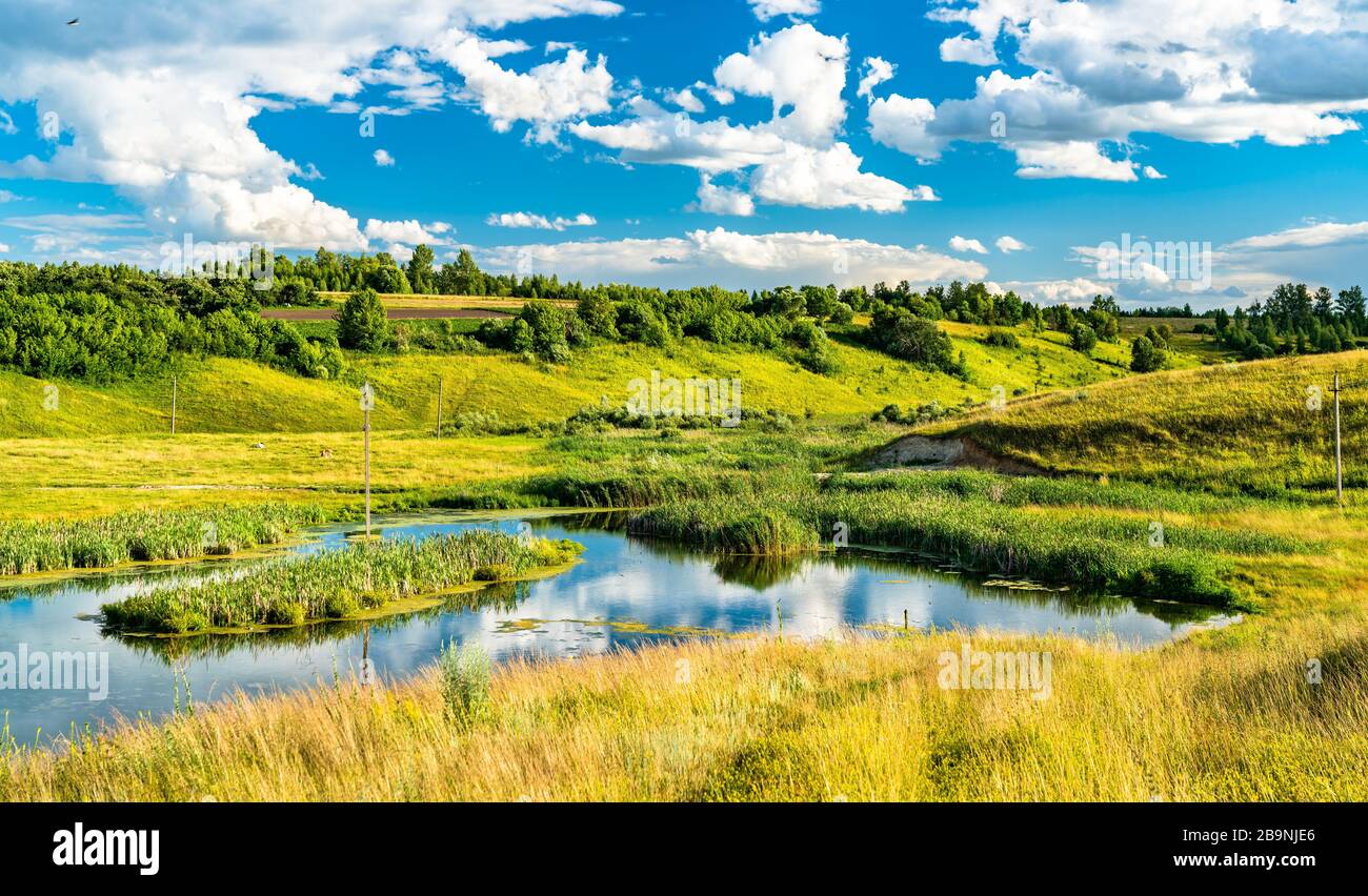 Lac de Bolshoe Gorodkovo - région de Kursk, Russie Banque D'Images