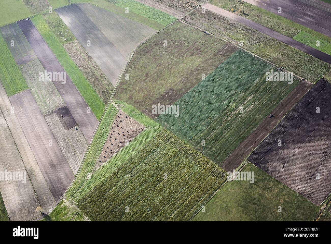 Vues aériennes de la vallée de Nida. Prés, marécages et zones humides visibles sur la photo. La rivière située en Pologne a beaucoup de méandres. Banque D'Images
