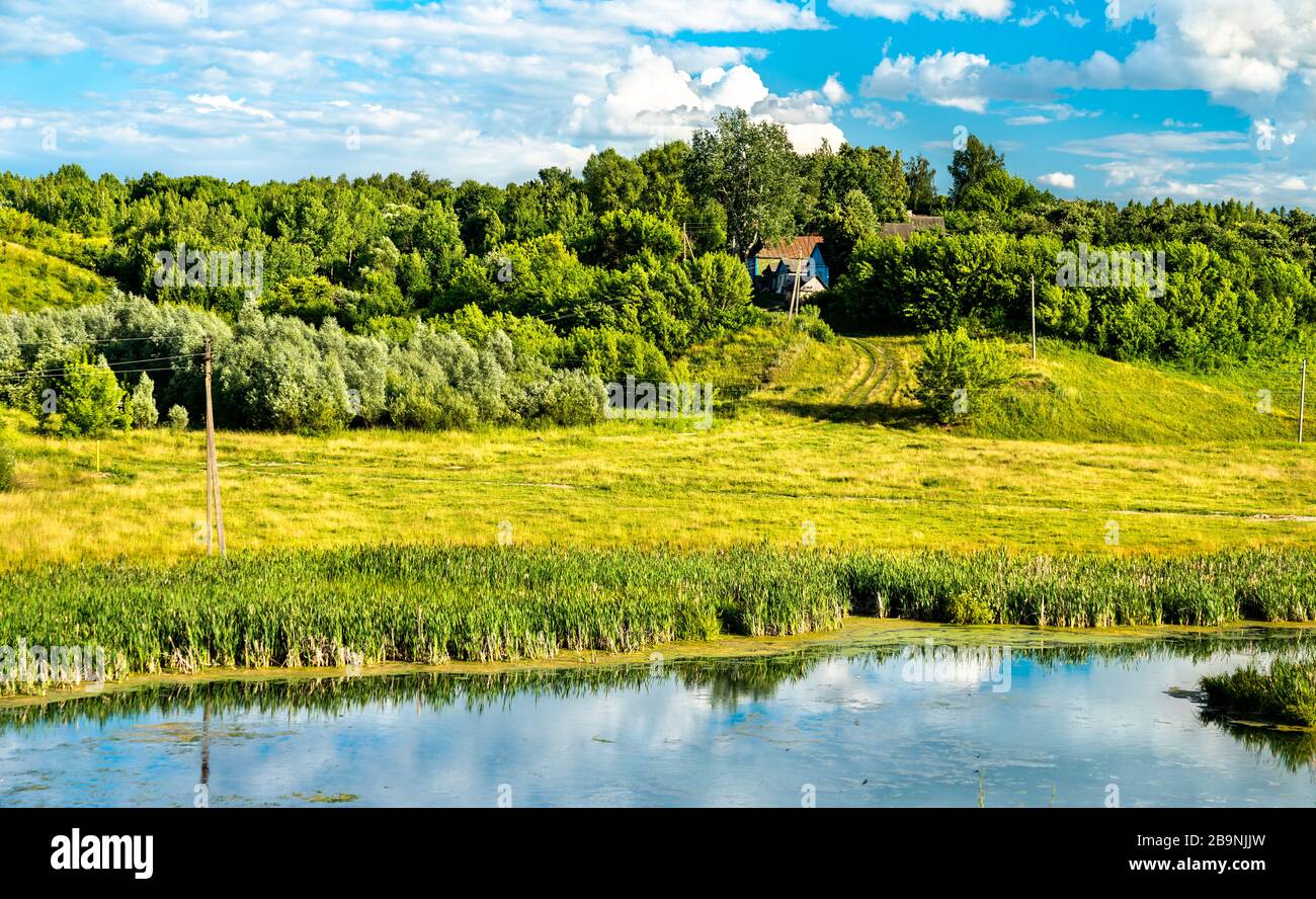 Lac de Bolshoe Gorodkovo - région de Kursk, Russie Banque D'Images