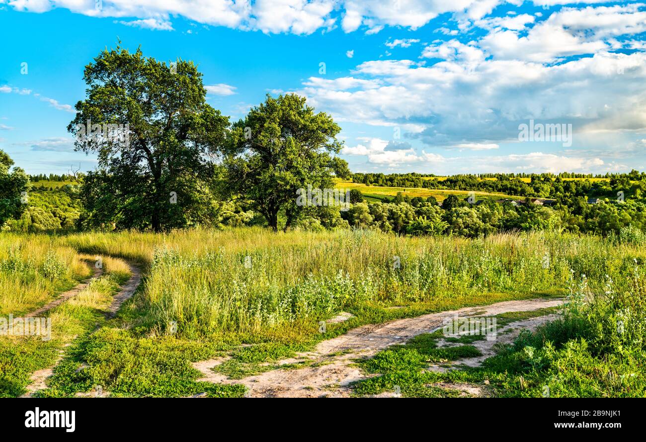 Paysage rural typique de la région de Koursk, en Russie Banque D'Images
