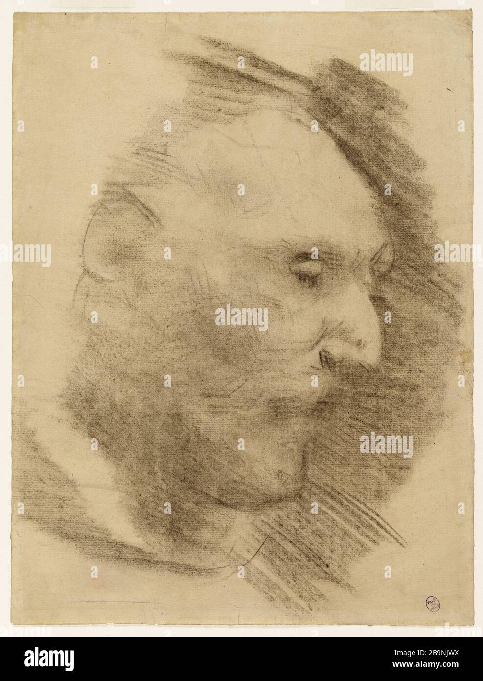 Profil de l'homme Narcisse Diaz de la Pena (1807-1876). Profil d'homme. Fusain sur papier vergé filigré. Musée des Beaux-Arts de la Ville de Paris, petit Palais. Banque D'Images