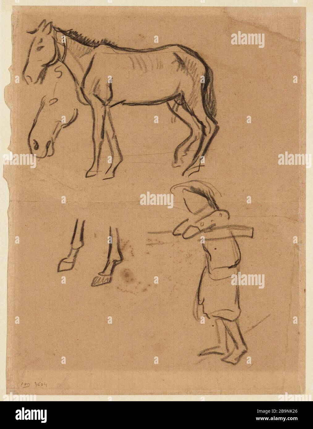 Études de chevaux (devant) / face de buste tahitien et tête tahitien (dos) Banque D'Images