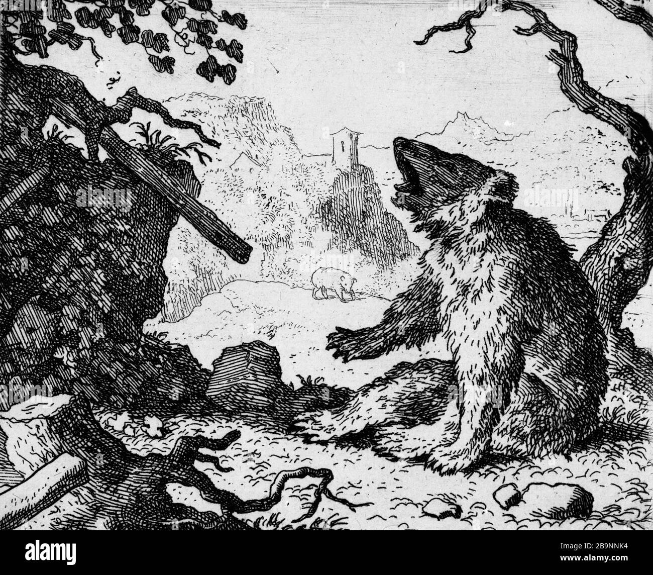 ILLUSTRATIONS POUR LE RENARD ROMAIN : 1650/1655 À : 8-LA SOMME PORTE LE RENARD DEVANT LE CONSEIL DES ANIMAUX ALLAERT VAN EVERDINGEN (1621-1675). Illustrations pour le 'Roman de Renart' : vers 1650-1655 : 8- 'l'ours somme le renard de comparaison devant le conseil des animaux'. Eau-forte. Musée des Beaux-Arts de la Ville de Paris, petit Palais. Banque D'Images