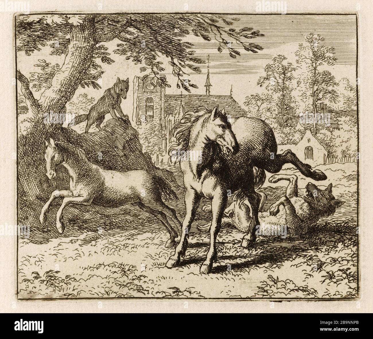 Le Roman de Renard: 44- Fox, sûr d'apaiser la colère du lion part avec le pinceau pour arriver à la cour, pendant son voyage il dit à son ami le tour qu'il a joué le loup qui voulait "gérer un fal (Bartsch 44) Allart van Everdingen (1621-1675). Le Roman de Renard : 44- le renard, certains d’apaiser la colière du lion, partie avec le Blaireau pour se rendre à la cour, fils suspendus voyage il raconte à son ami le tour qu’il a joué au loup qui lui lait s’est vouer d’un poulain (Bartsch 44). Eau-forte sur papier, 1650-1655. Musée des Beaux-Arts de la Ville de Paris, petit Palais. Banque D'Images
