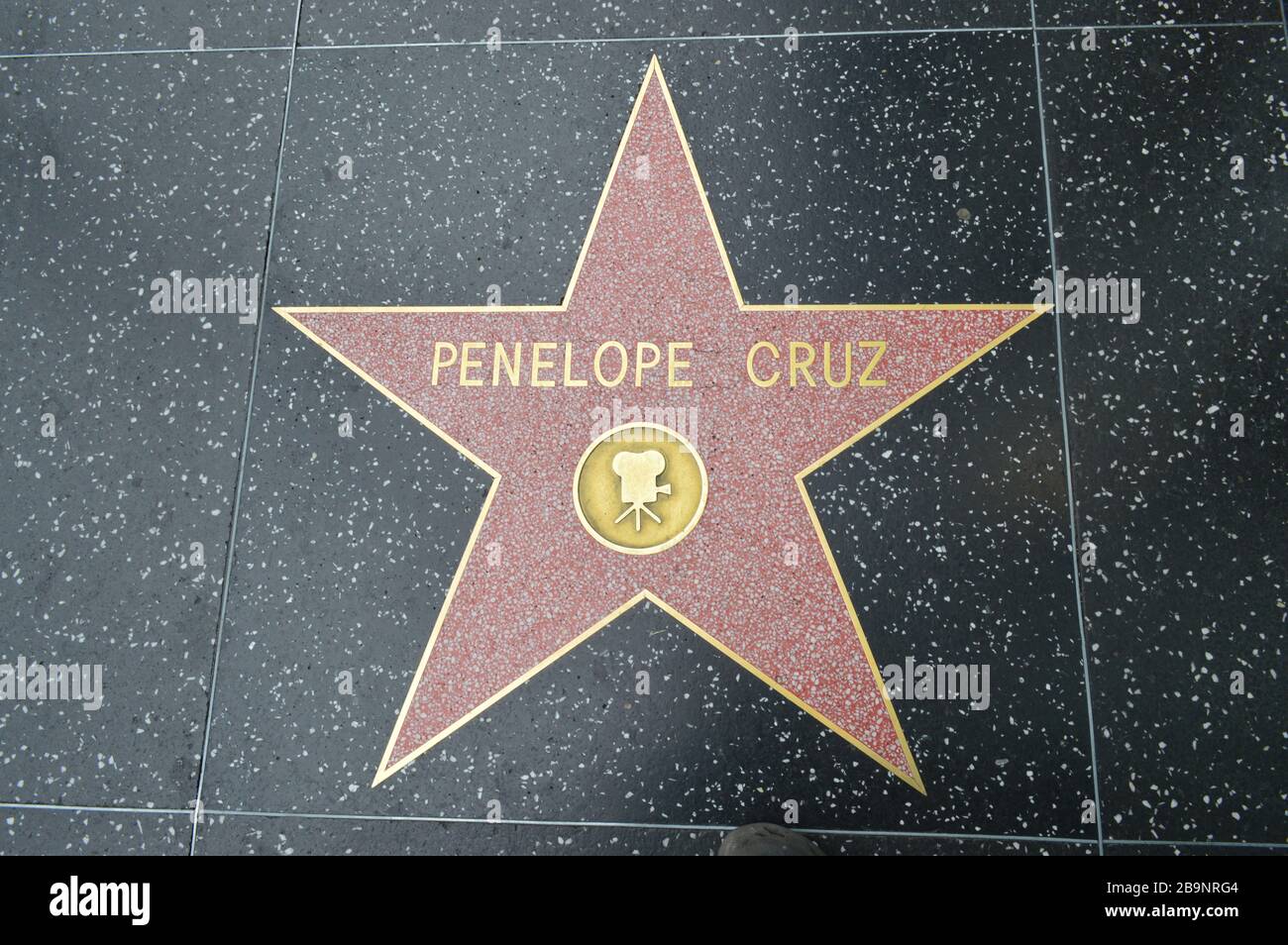 Le Hollywood Walk of Fame comprend plus de 2 600 terrazzo à cinq points et des étoiles en laiton incrustées dans les trottoirs du Hollywood Boulevard Banque D'Images