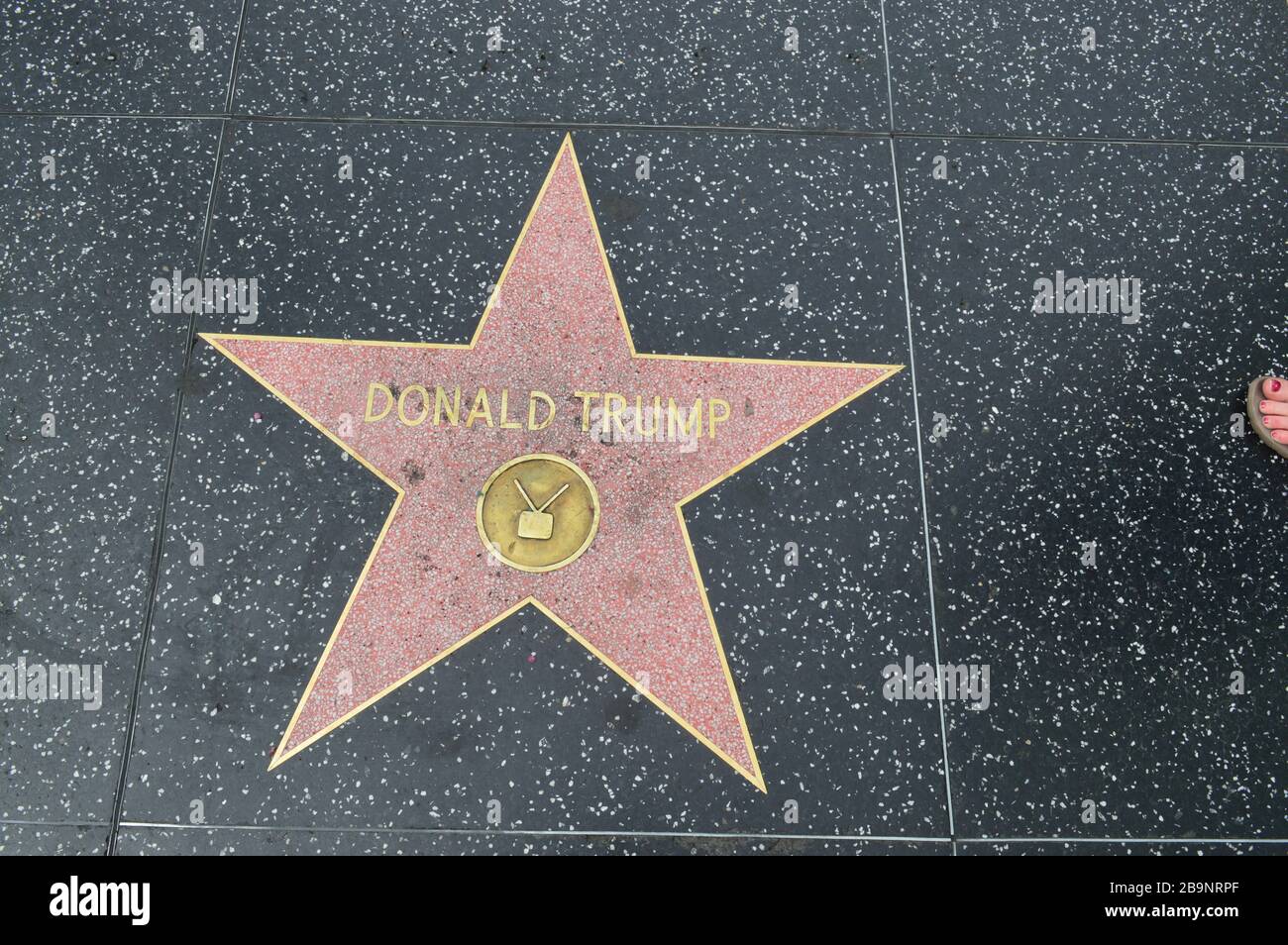 Le Hollywood Walk of Fame comprend plus de 2 600 terrazzo à cinq points et des étoiles en laiton incrustées dans les trottoirs du Hollywood Boulevard Banque D'Images