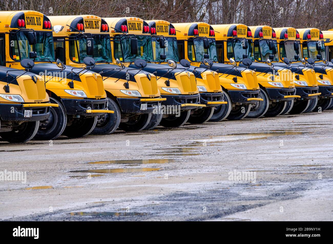 Plusieurs autobus scolaires jaunes stationnés dans un dépôt d'autobus, Ontario, Canada Banque D'Images