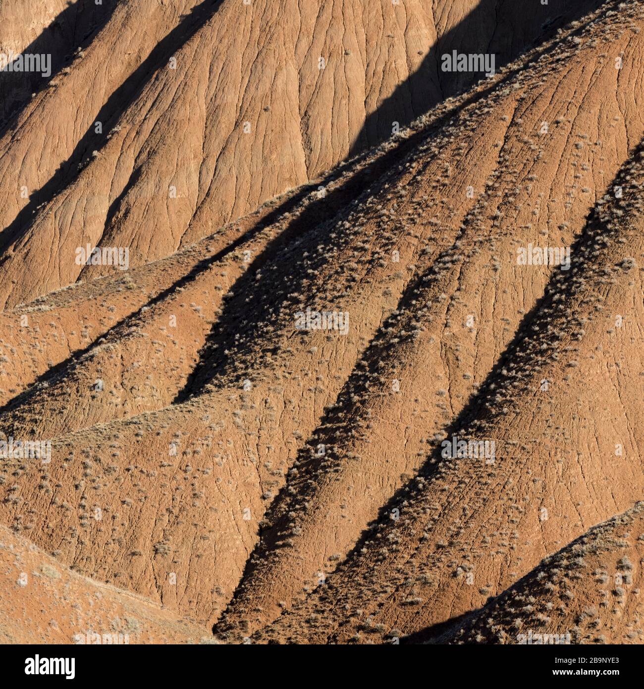 Détail du paysage d'érosion de la boue du blaireau entourant le lac Ozero Torpo le long du col de Mels-Ahuu au Kirghizstan Banque D'Images