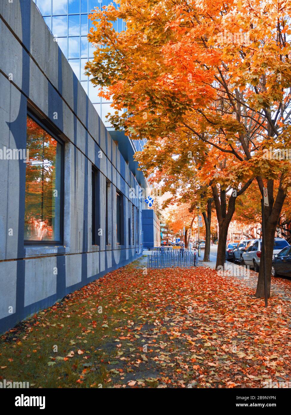 Bâtiment, photo d'automne colorée avec feuilles en chute libre Banque D'Images