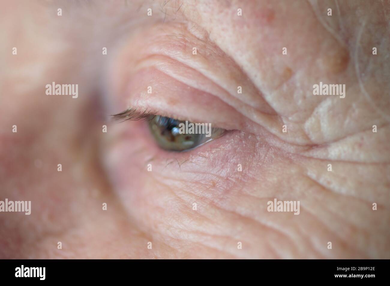 Gros plan sur l'œil d'une femme âgée Banque D'Images