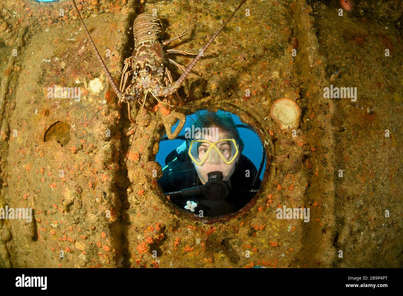 Images sous-marines de plongeurs et de la vie marine en plongée dans certains épaves du navire autour de Saint-Martin, dans les Caraïbes Banque D'Images