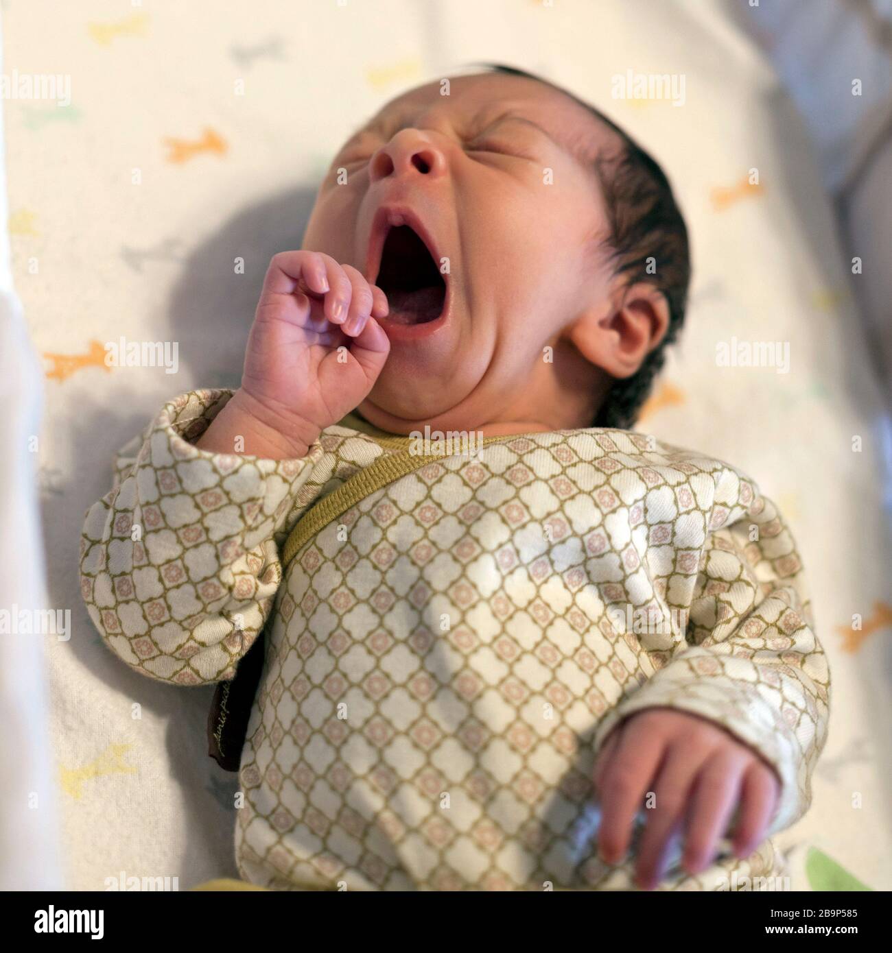 Une Fille De Bebe De 10 Jours Naine Dans Son Lit De Bebe Photo Stock Alamy