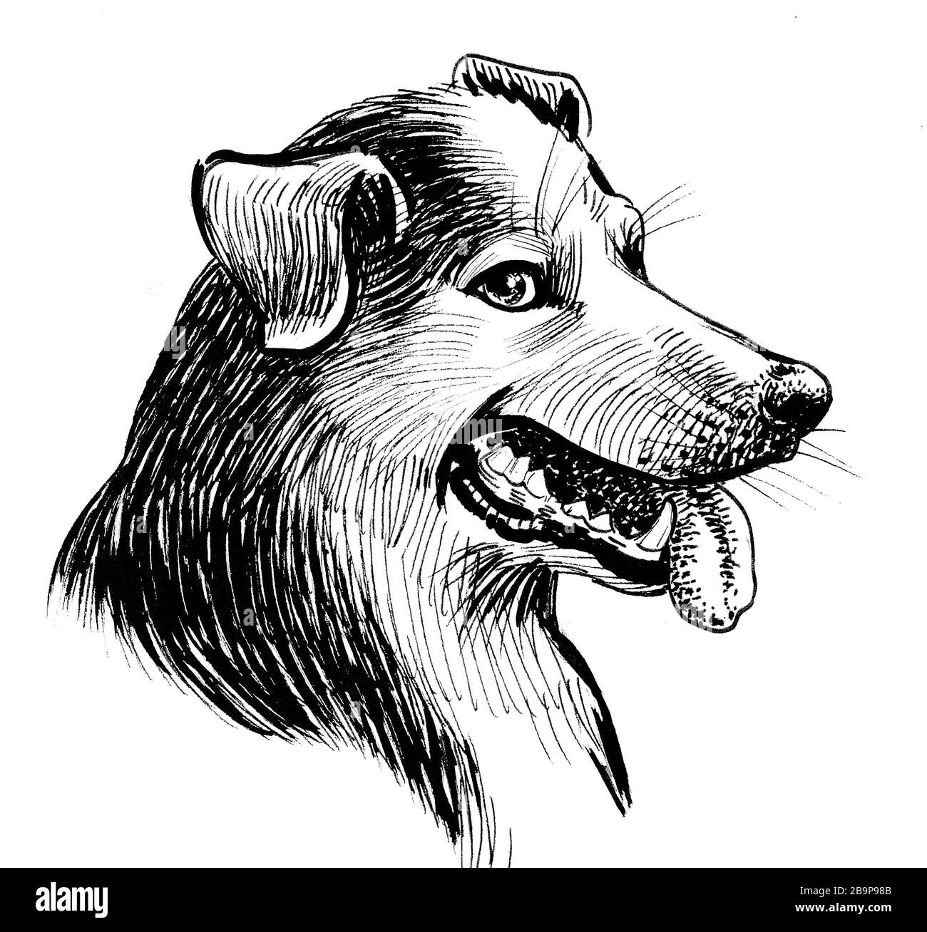 Dog head black drawing and white Banque de photographies et d’images à