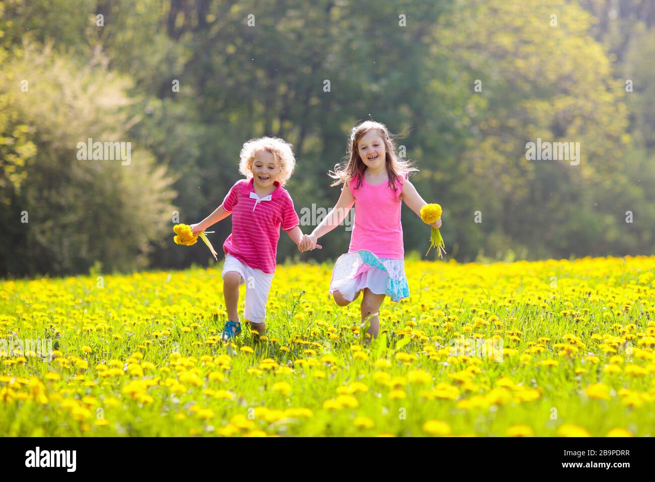 Les enfants jouent en jaune pissenlit champ. Cueillette de fleurs d'été pour enfants. Petite fille et garçon courir au printemps pissenlit prairie. Les enfants jouent à l'extérieur. Dans Kid Banque D'Images