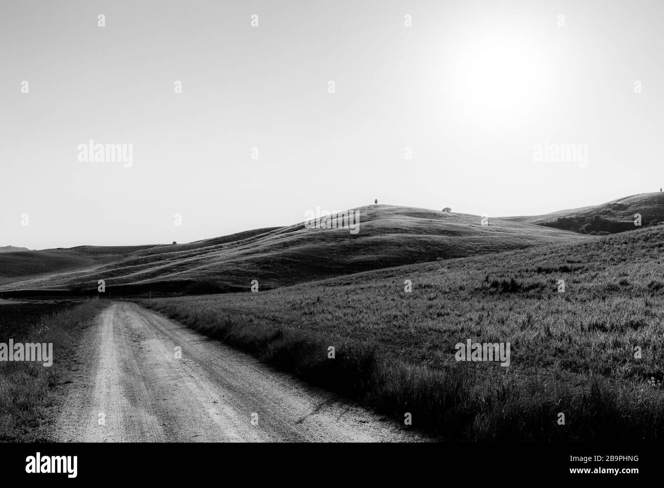 Magnifique paysage de Toscane au printemps avec des collines ondulées et une route au premier plan. Toscane, Italie, Europe Banque D'Images