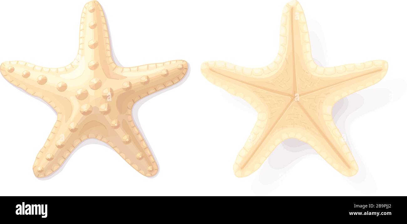 Vector mer Beach objet clip art Illustration de Vecteur