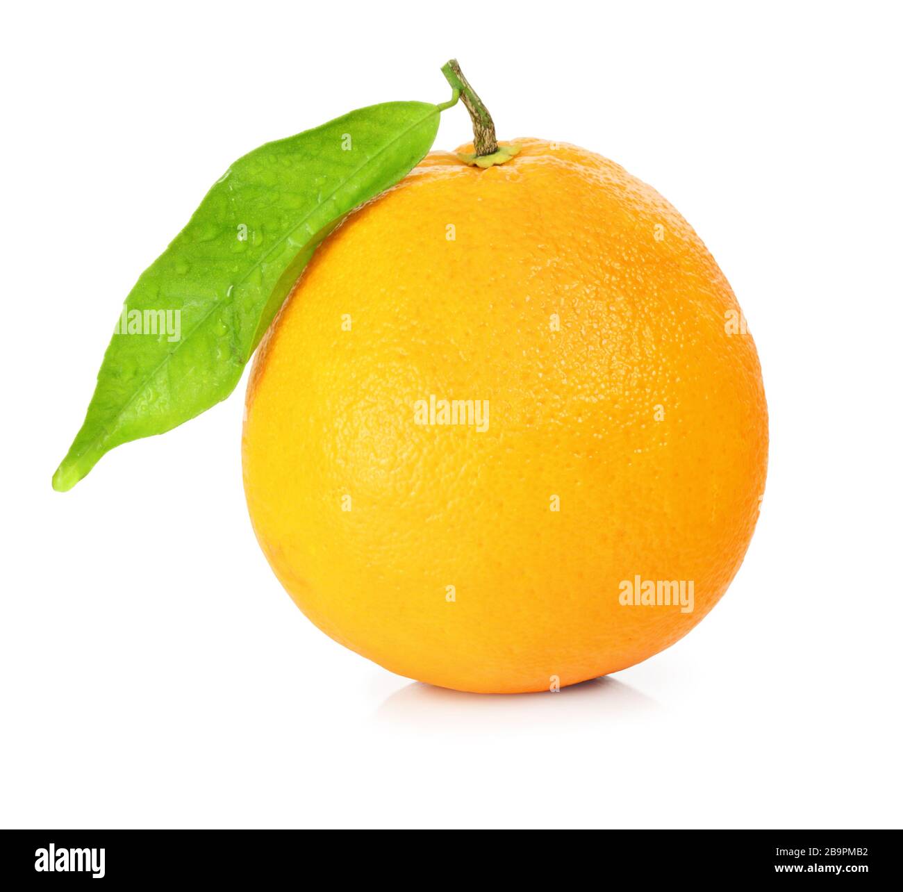 Orange frais (agrumes) avec feuilles et gouttes d'eau isolées sur fond blanc, y compris le chemin d'écrêtage sans ombre. Allemagne fnische Apfelsine (Zit Banque D'Images