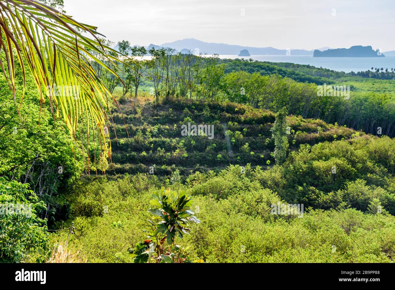 Vue sur l'océan depuis l'île de Ko Yao Noi dans la baie de Phang-Nga, près de Phuket, dans le sud de la Thaïlande Banque D'Images