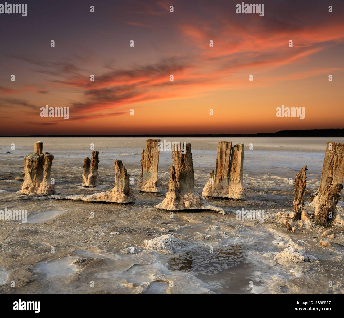 Paysage avec de vieux poteaux en bois dans un lac de sel sur fond de ciel rouge coucher de soleil, prendre dans la zone de la mer d'Azov, Ukraine Banque D'Images