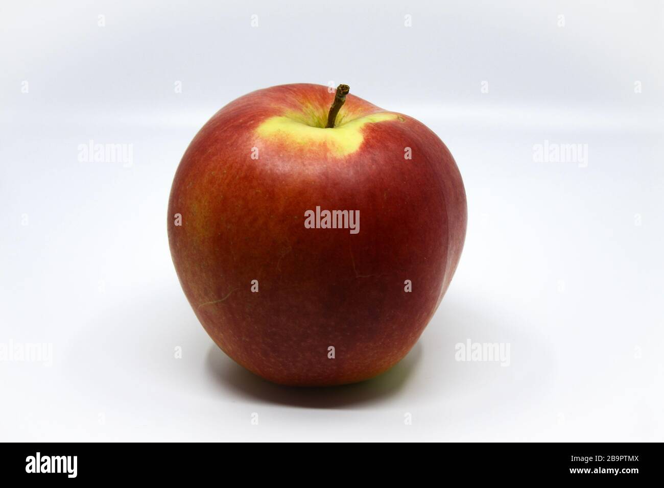 Belles pommes polonaises. Naturel sans aucun produit chimique Banque D'Images