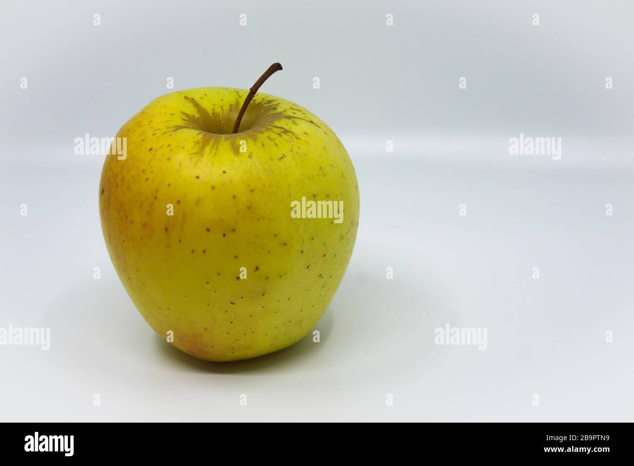Belles pommes polonaises. Naturel sans aucun produit chimique Banque D'Images