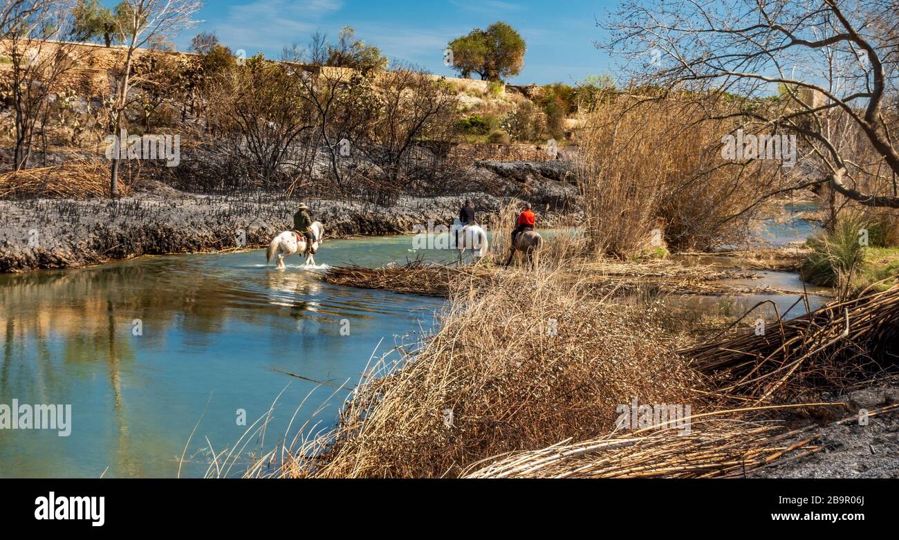 Feu près de la rivière avec des arbres et des cannes brûlés et 3 personnes au-dessus du cheval Banque D'Images
