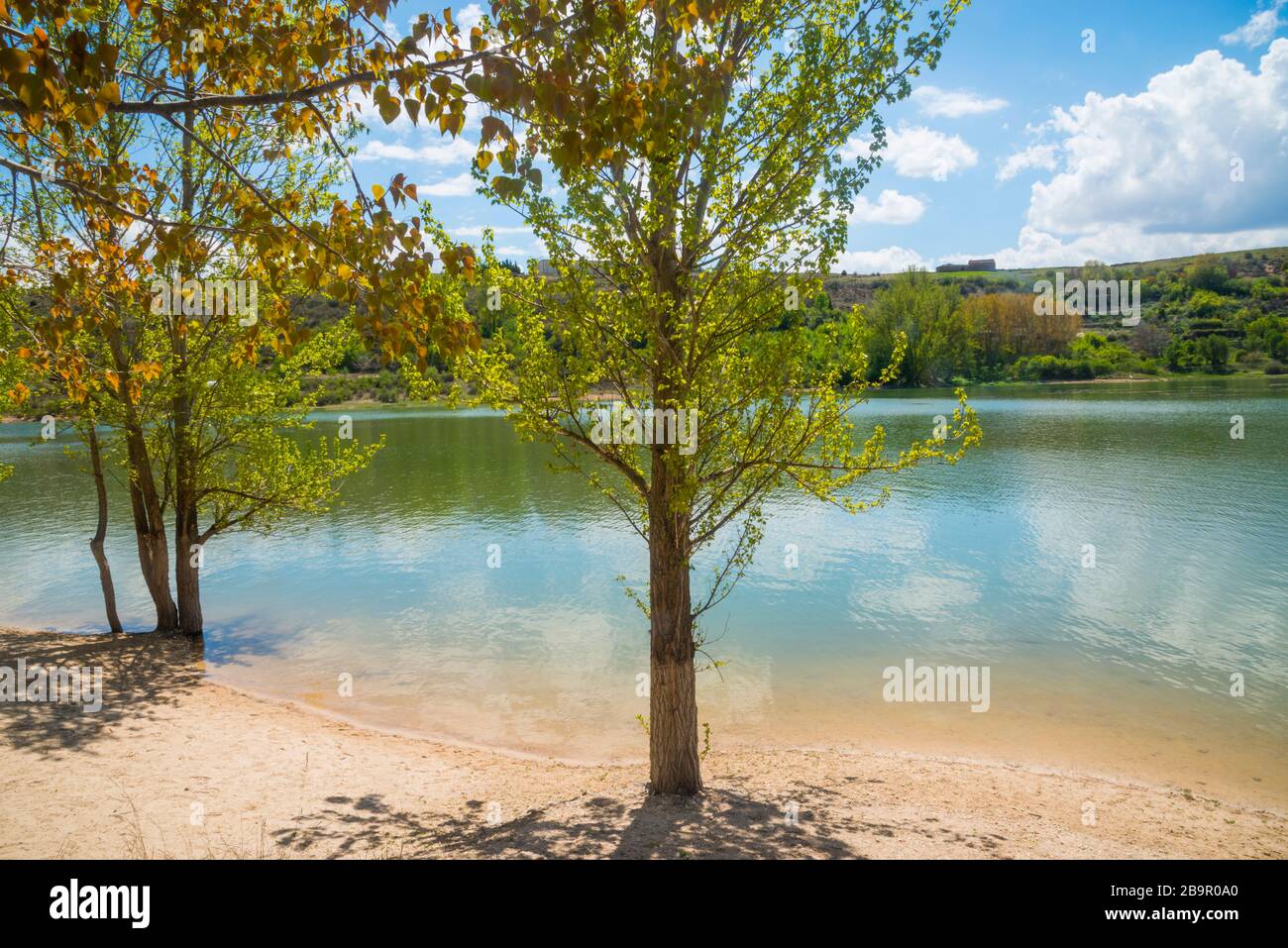 Rive du lac. Réservoir Linares, Maderuelo, province de Segovia, Castille Leon, Espagne. Banque D'Images